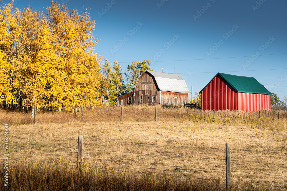 Rustic red barn and rural property in autumn colours in Rockyview County Alberta Canada Rustic red barn and rural property in autumn colours in Rockyview County Alberta Canada