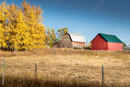Rustic red barn and rural property in autumn colours in Rockyview County Alberta Canada