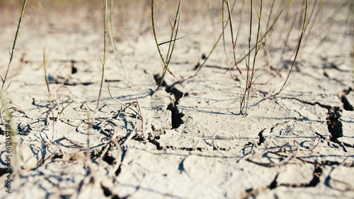 Drought Problem. Cracks On Dry Ground © francescosgura