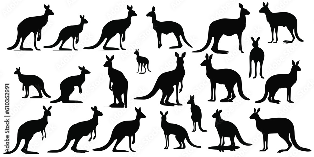 Obraz premium A set of cute silhouette kangaroo vector illustration