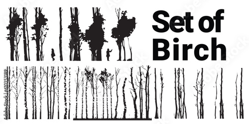 A set of silhouette birch tree vector illustration