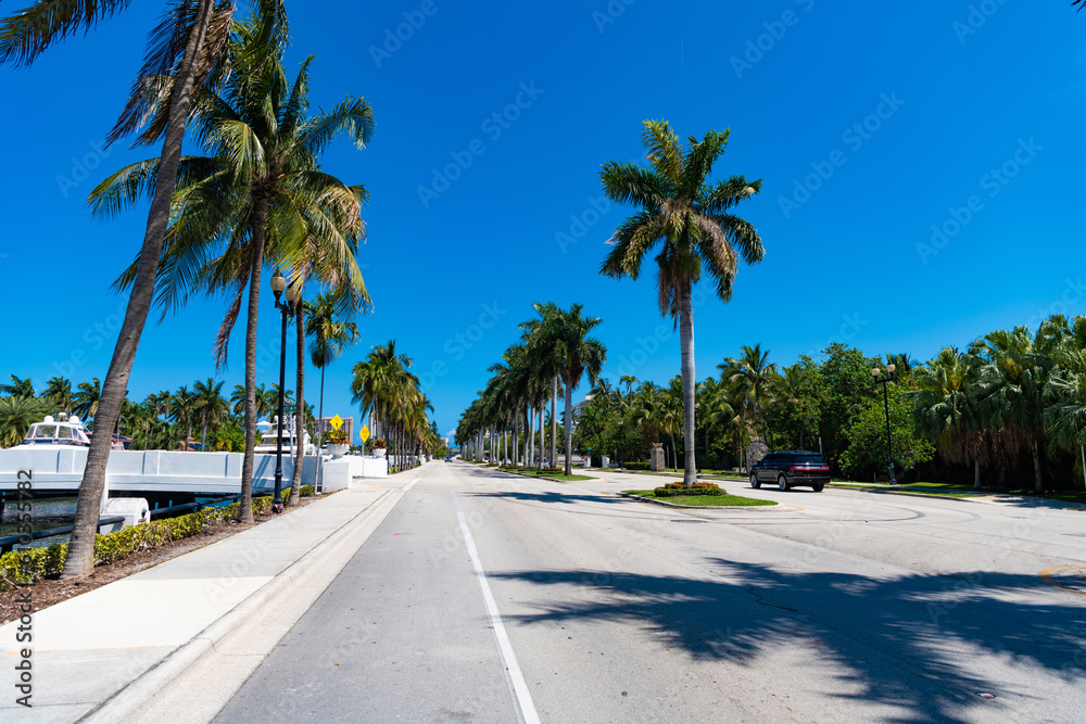 Scenic destination view of road with palms alone way in Beverly Hills. Tropical palm at destination road on sunny day. Scenic drive with palm trees in California destination. travel road destination