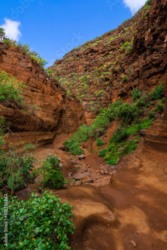 Canyon between ochre rocks, with a dirt road worn by the rains and with bush vegetation.