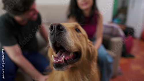 Happy couple with their Dog at home. Man and woman petting their beautiful Golden Retriever © Marco