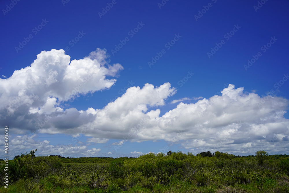 Blue sky and cumulus clouds over the Florida country side.
