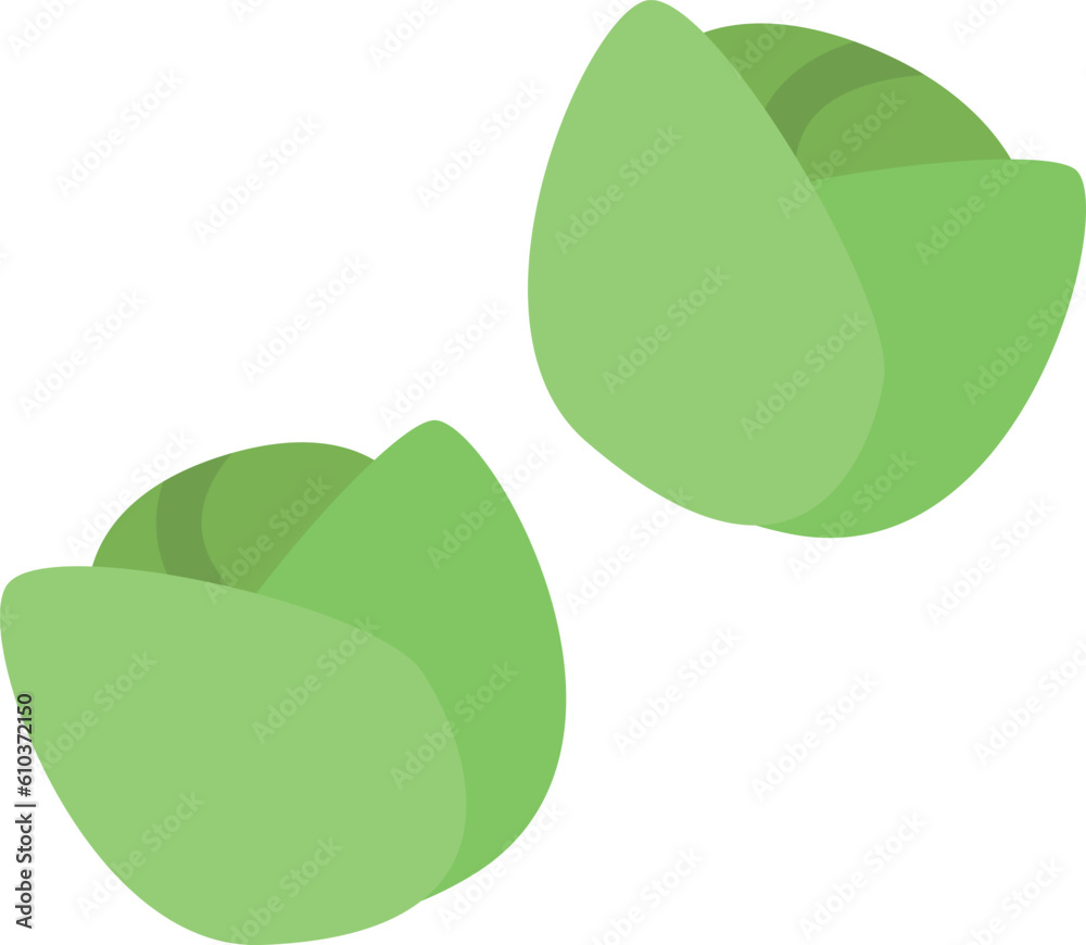 design vector image icons brussels-sprouts design vector image icons brussels-sprouts