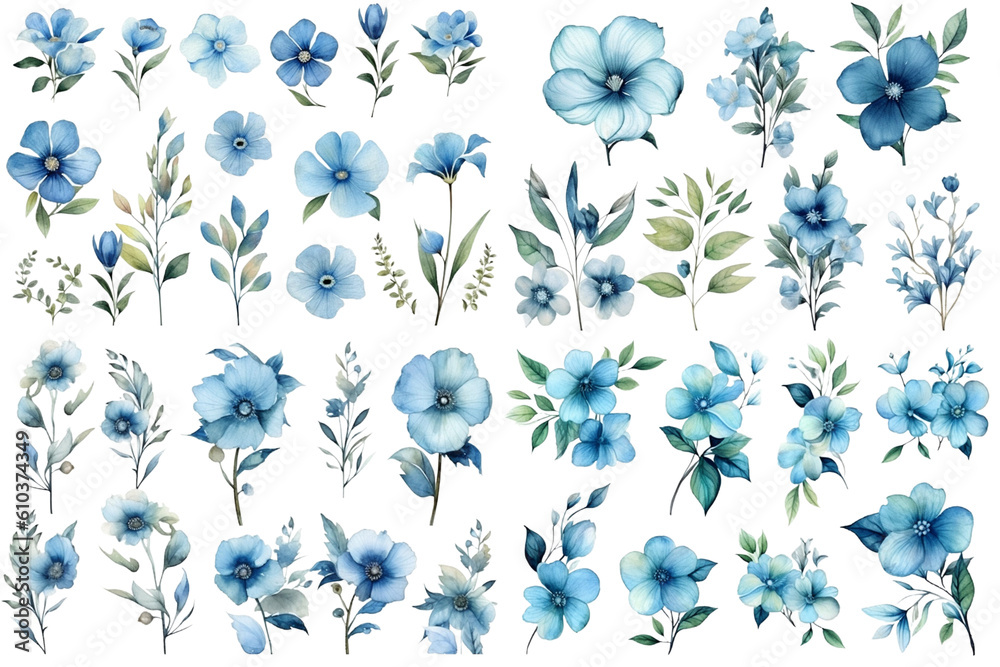 Watercolor flowers on a white background without shadows for illustration. Watercolor flowers on a white background without shadows for illustration.