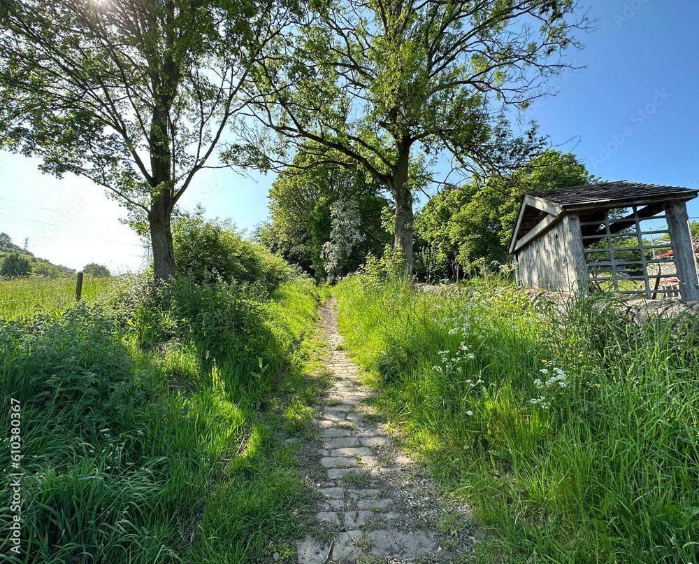 Narrow Victorian stone cobbled path, leading over the hill, on a sunny day near, Northcliffe Lane, Halifax, UK Narrow Victorian stone cobbled path, leading over the hill, on a sunny day near, Northcliffe Lane, Halifax, UK