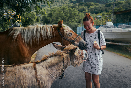 the girl traveler feeds the horses