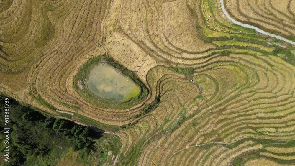 Longji terraced field in guilin china Longji terraced field in guilin china