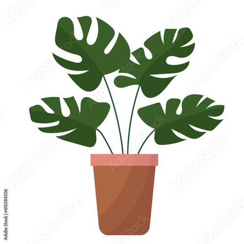 plant in a pot, on a white background in a flat style, isolated