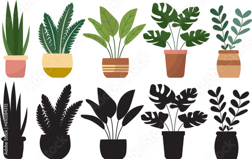 plants in pots, set, on a white background in a flat style, isolated vector