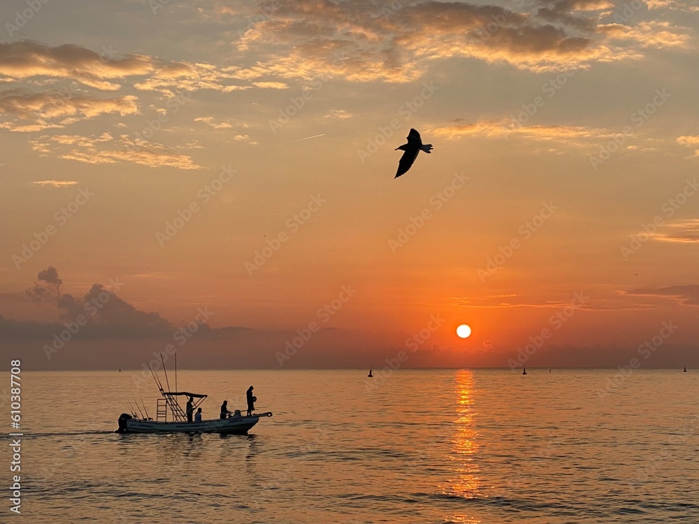 Fototapeta premium Sunrise over the ocean with a boat and a bird flying by