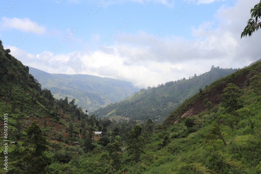 view from the mountain