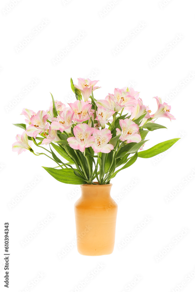 Alstroemerias in a vase Alstroemerias in a vase