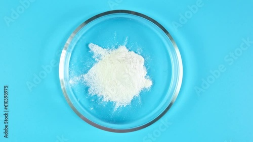 Xanthan Gum Powder in Petri dish on blue table, top view.  Food additive E415. Extracellular polysaccharide secreted by the micro-organism Xanthomonas campestris. Stabiliser and Thickener. photo