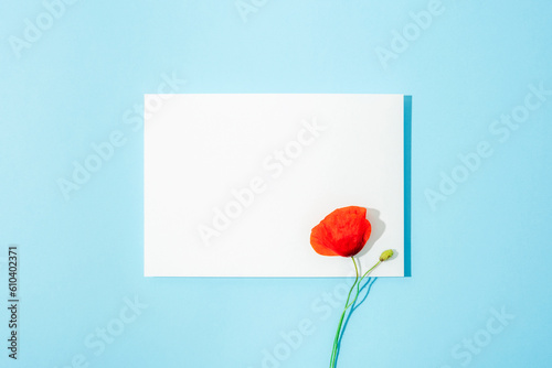 Blank card and red poppy flower on light blue background. Holiday concept, greeting card, invitation, mockup. Top view, flat lay, copy space