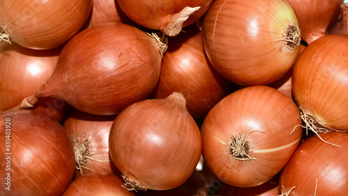 photos of onions prepared for sale