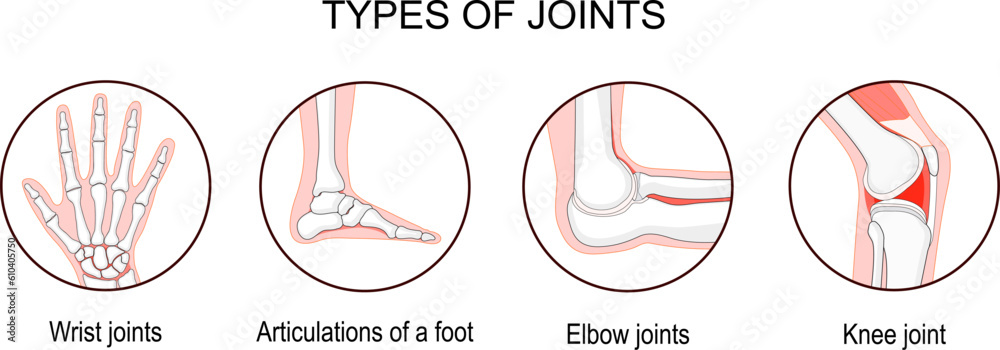 © designua - Types of joints