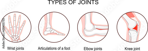 Tela Types of joints