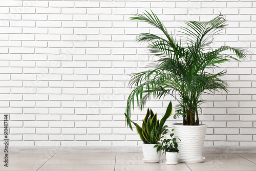 Different potted houseplants near white brick wall