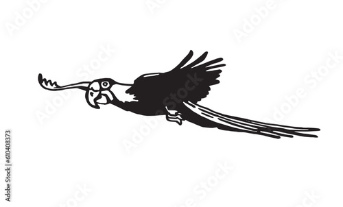 Graphical parrot flying  isolated on white,vector element of bird.Ink pen parrot