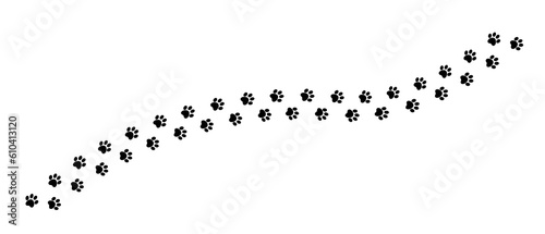 Black animal dog footprints. paw track photo