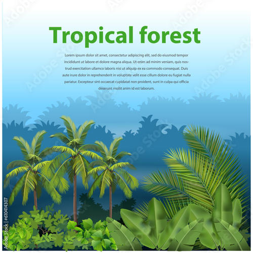 Vector illustration, tropical forest landscape.