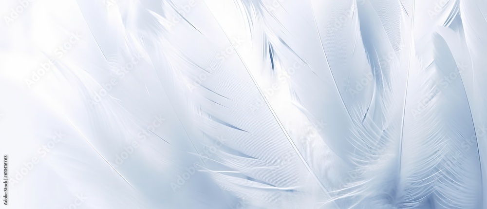 Airy soft fluffy wing bird with white feathers close-up of macro pastel blue shades on white background. Abstract gentle natural background with bird feathers macro with soft focus Airy soft fluffy wing bird with white feathers close-up of macro pastel blue shades on white background. Abstract gentle natural background with bird feathers macro with soft focus