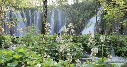 Un paysage magnifique, les lacs de Plitvice