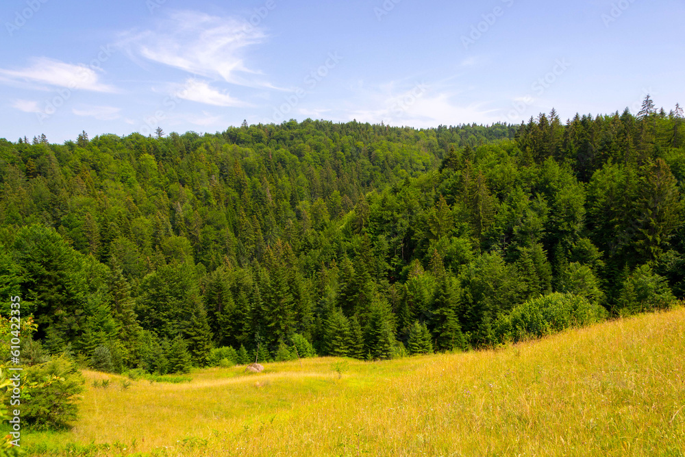 Meadows on Mount Tara