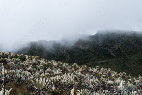 Rocky paramo landscape with fog and lake in a cloudy day	 photo