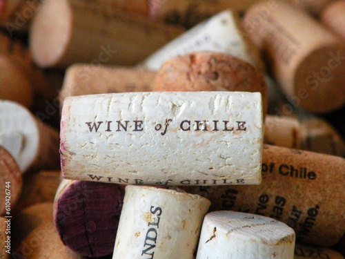 Chilean wines