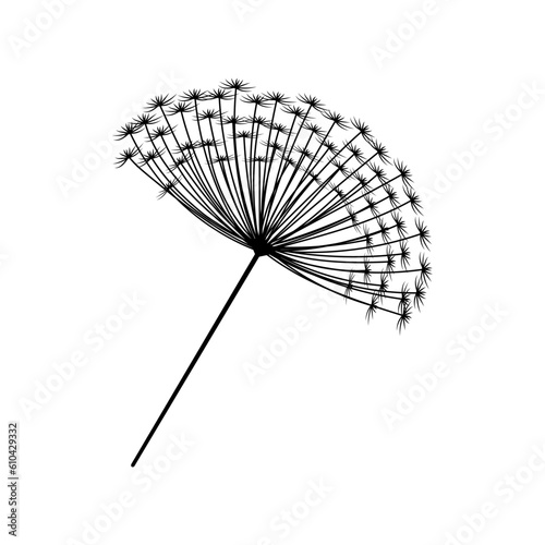 Flower Dandelion isolated on white background.  Vector illustration