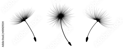 Flowers Dandelion isolated on white background.  Vector illustration