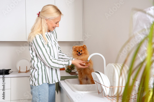 Mature woman washing Pomeranian dog's paw in kitchen