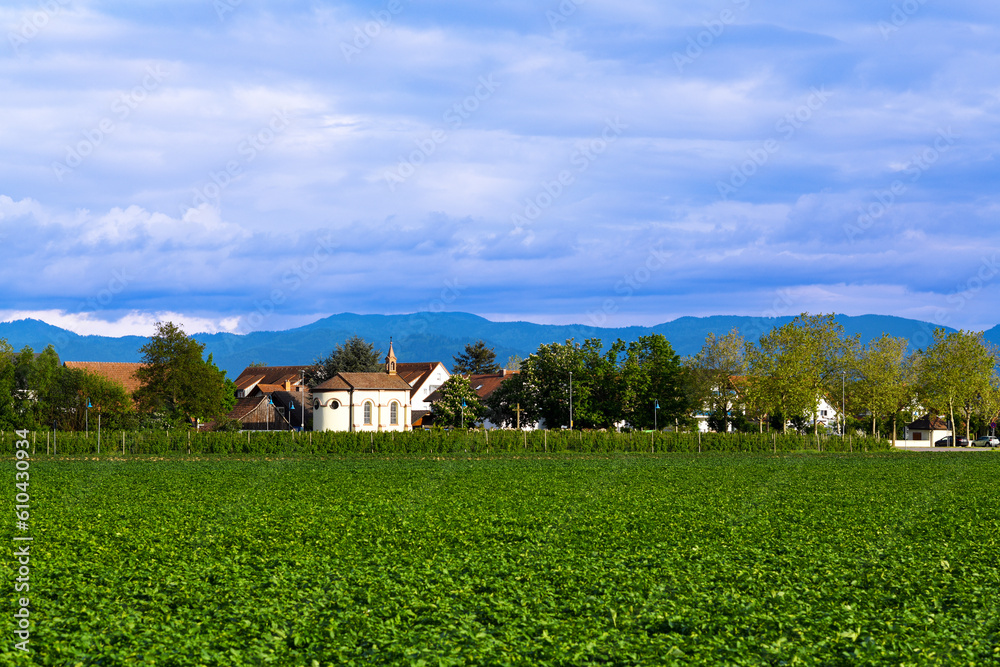 Obraz premium Feldkirch-Hartheim am Rhein, Baden Württemberg 