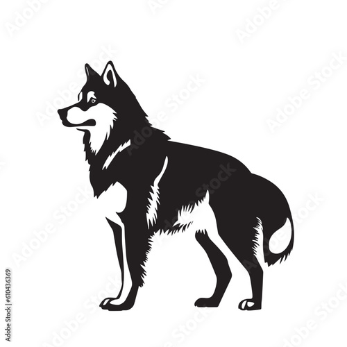 Standing Siberian Husky side view vector illustration isolated