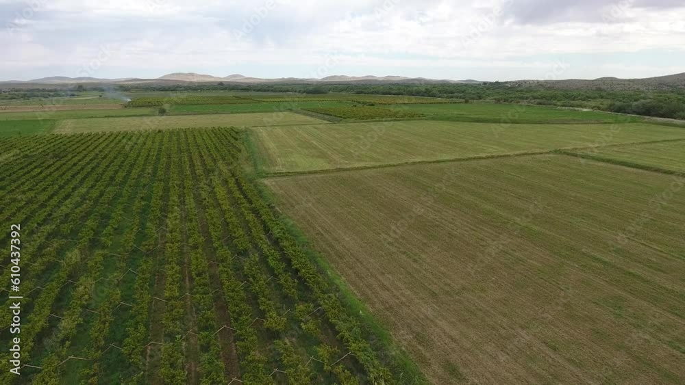 Aerial View of Farmlands and Orchards on a Cloudy Summer Day Aerial View of Farmlands and Orchards on a Cloudy Summer Day