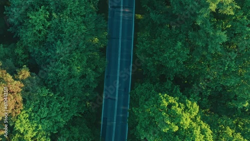 Drone view of the road running through a beautiful forest at sunset. Wildlife and nature concept.
