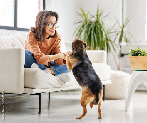 cheerful woman playing with her beloved pet dog at home on the couch