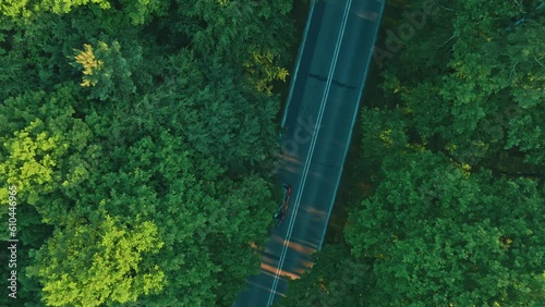 Drone view of the road running through a beautiful forest at sunset. Wildlife and nature concept.