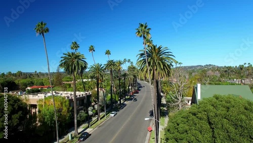 Aerial Shot Of Vehicles On Road Amidst Trees Against Blue Sky, Drone Ascending Over Houses In Suburb On Sunny Day - Beverly Hills, California