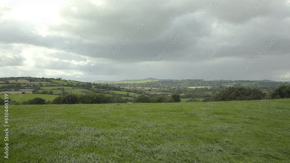 Wind blowing green grass in meadow in rural Ireland Wind blowing green grass in meadow in rural Ireland