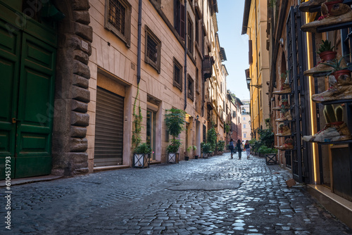 Photography Cosy narrow street in Rome. Italy