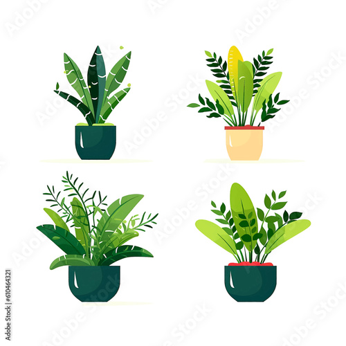 Set of houseplants. Indoor plant in modern flowerpot. Decorative houseplants for interior home decoration