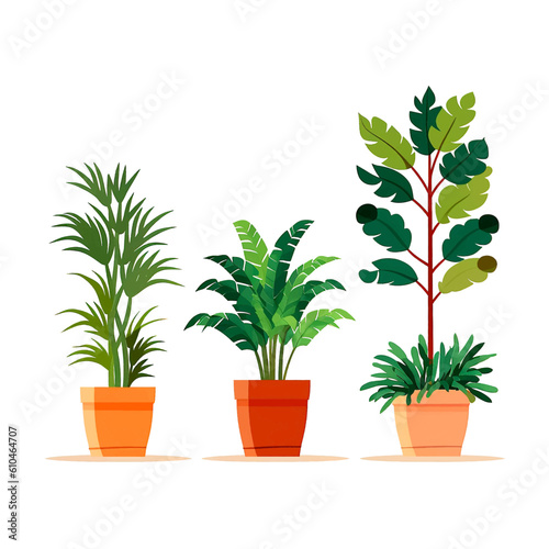 Set of houseplants. Indoor plant in modern flowerpot. Decorative houseplants for interior home decoration