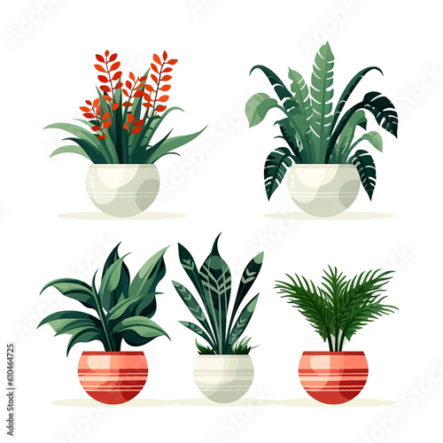 Set of houseplants. Indoor plant in modern flowerpot. Decorative houseplants for interior home decoration