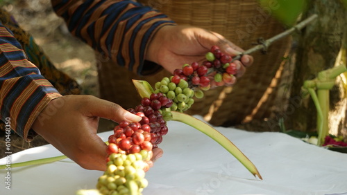 Coffee on manten Kopi (Coffee marriage). Manten Kopi is one of the rituals for the coffee harvest in de Karanganjar (Modangan, Blitar)