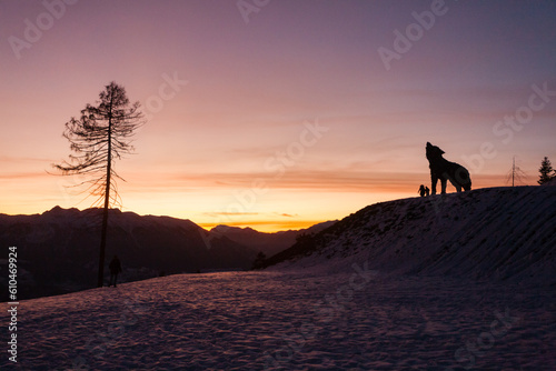 Wooden sculpture of a wolf. Italian landmark at dawn